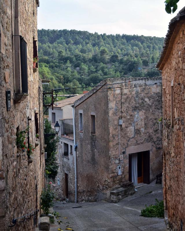 11.8.2018 carrer  Montblanquet -  Ramon Sunyer