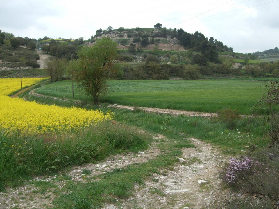 La pedrera de Malacara tira endavant amb el silenci de l'Ajuntament - 