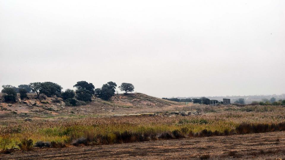 21.10.2018 Aiguamolls de la Serra de Queralt  Sisteró -  Ramon Sunyer