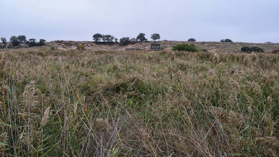 21.10.2018 Aiguamolls de la Serra de Queralt  Sisteró -  Ramon Sunyer