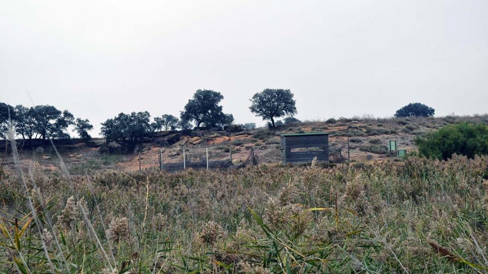 21.10.2018 Aiguamolls de la Serra de Queralt  Sisteró -  Ramon Sunyer