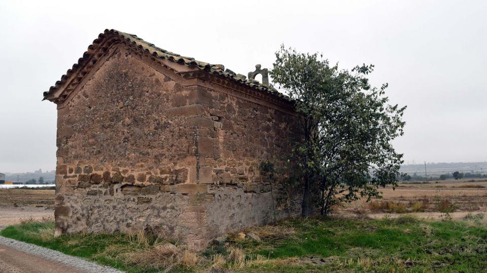 21.10.2018 Santa Magdalena de Sió  Les Pallargues -  Ramon Sunyer