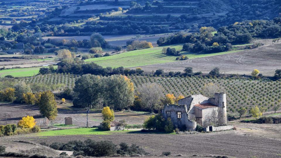 16.11.2018 Torre-molí Saportella  La Curullada -  Ramon Sunyer