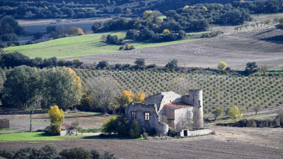 16.11.2018 Torre-molí Saportella  La Curullada -  Ramon Sunyer