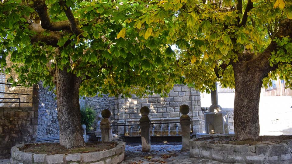 3.11.2018 Font de les Canelles  Santa Coloma de Queralt -  Ramon Sunyer