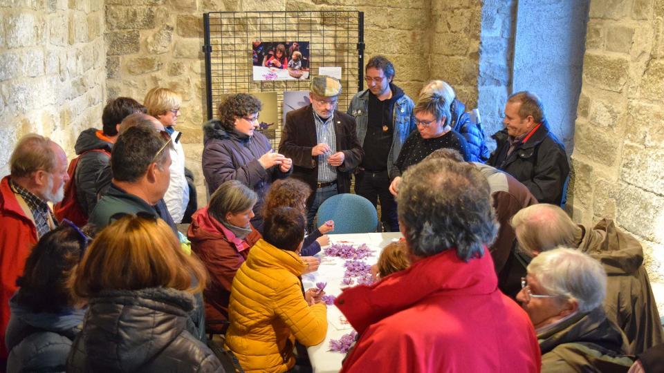 3.11.2018 Esbrinant safrà  Santa Coloma de Queralt -  Ramon Sunyer