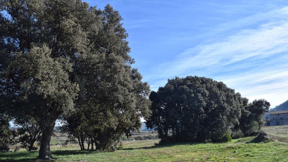 Paisatge 9.12.2018 Paisatge Aguilar de Segarra - Ramon Sunyer