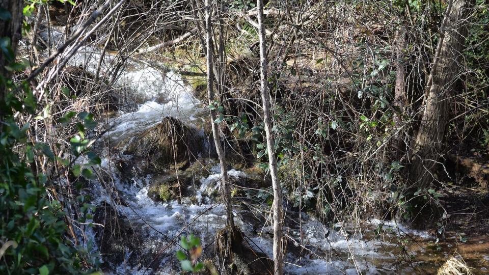 Riera de Maçana 9.12.2018 Riera de Maçana Castellar - Ramon Sunyer