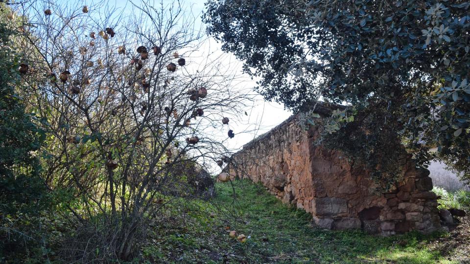 9.12.2018 Castellar - Ramon Sunyer