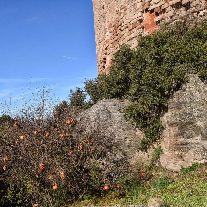 9.12.2018 Castell  Castellar -  Ramon Sunyer