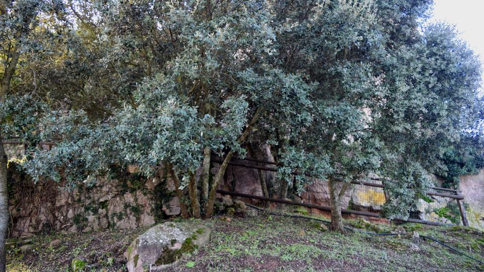 9.12.2018 Castellar - Ramon Sunyer