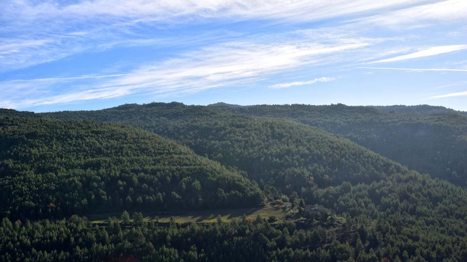 Obaga dels Tres Pins 9.12.2018 Obaga dels Tres Pins Castellar - Ramon Sunyer