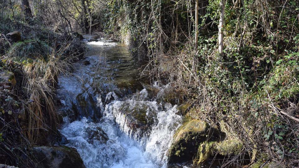 Riera de Maçana 9.12.2018 Riera de Maçana Castellar - Ramon Sunyer