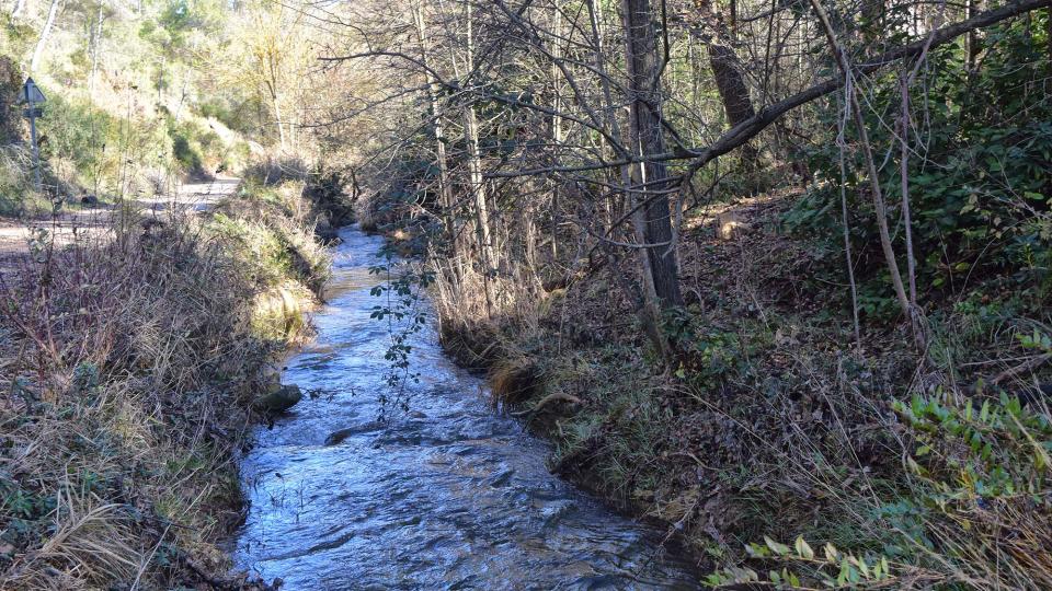 9.12.2018 Riera de Maçana  Castellar -  Ramon Sunyer