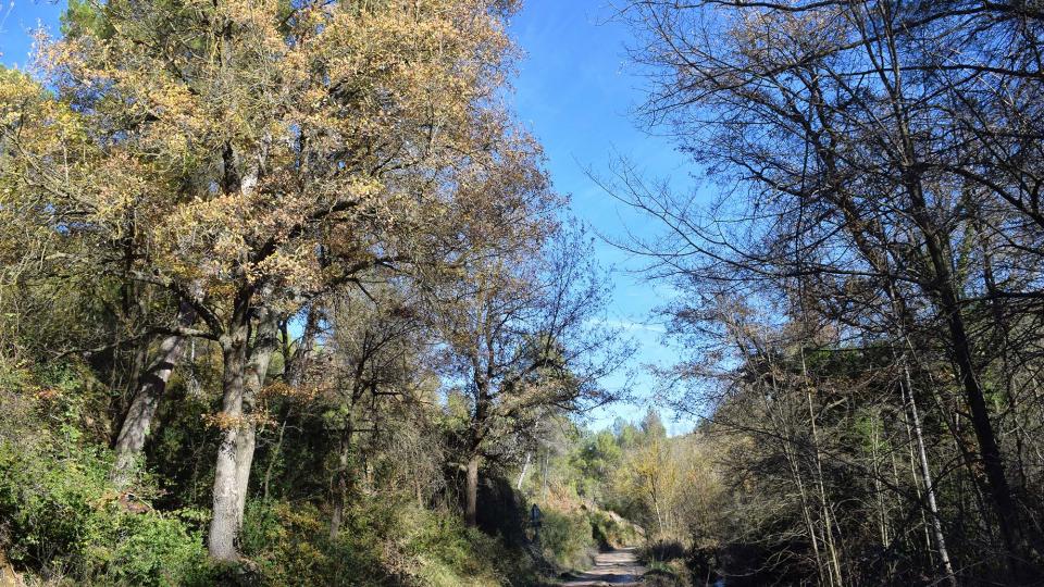Riera de Maçana 9.12.2018 Riera de Maçana Castellar - Ramon Sunyer