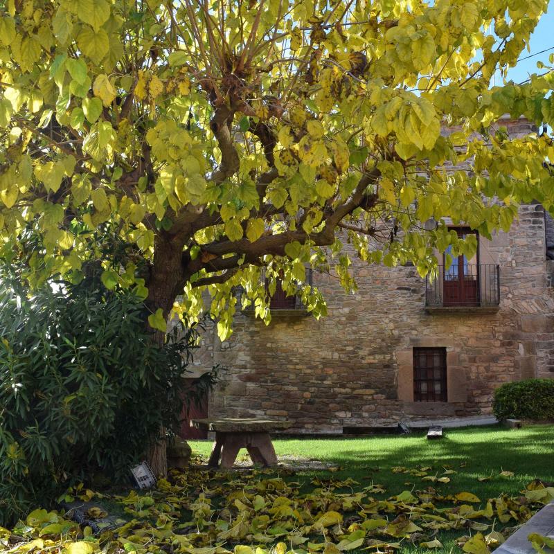 9.12.2018 Castellar - Ramon Sunyer