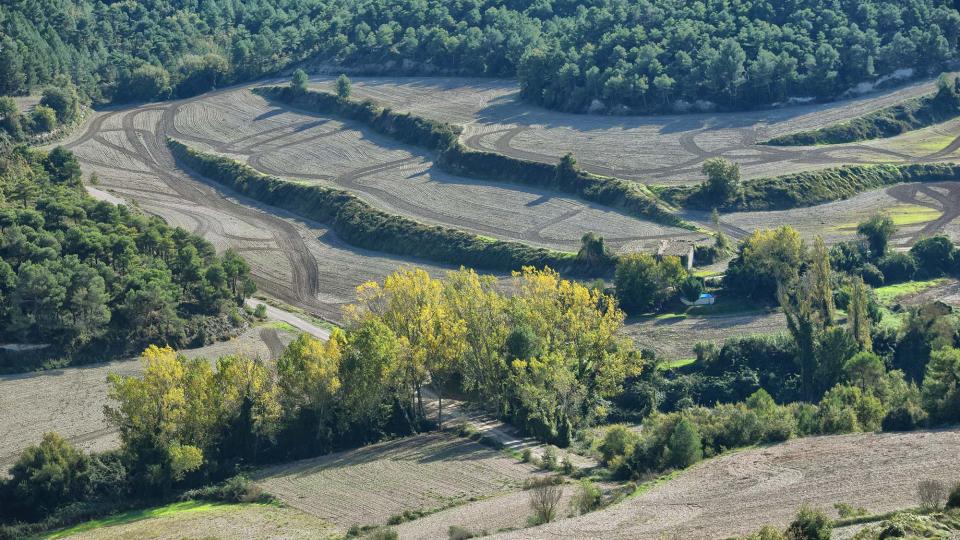3.11.2018 - Torrent de les Vinyes - Argençola - Ramon  Sunyer