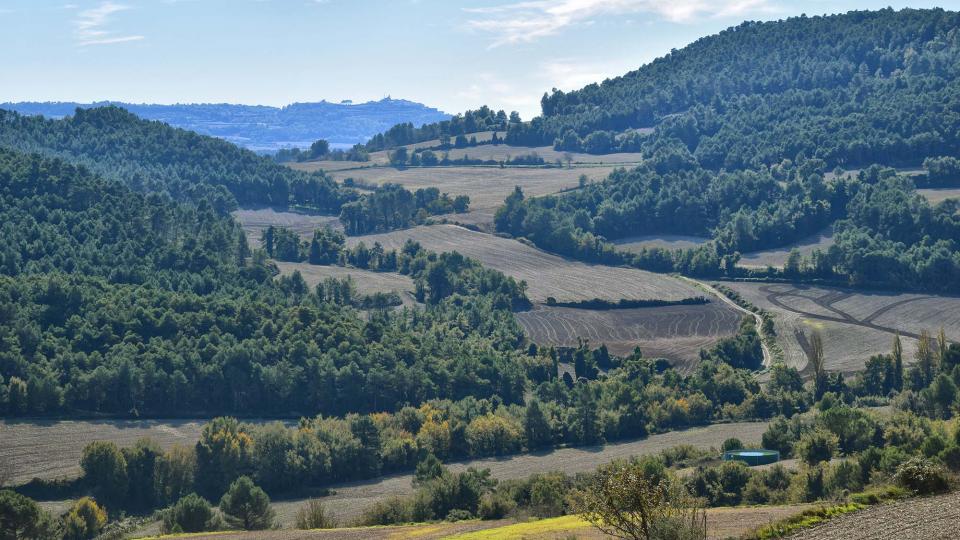 3.11.2018 - Torrent de les Vinyes - Argençola - Ramon  Sunyer