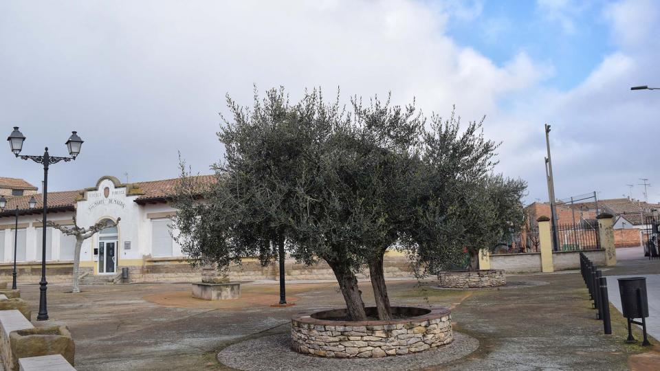 3.1.2019 Sant Martí de Maldà - Ramon Sunyer