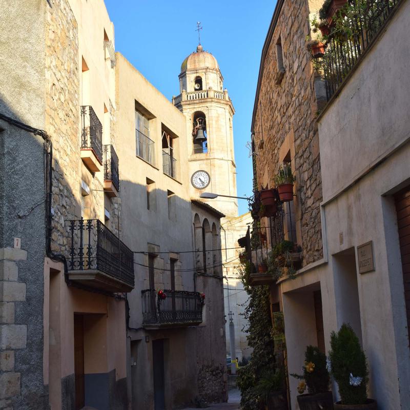 3.1.2019 Rocafort de Vallbona - Ramon Sunyer