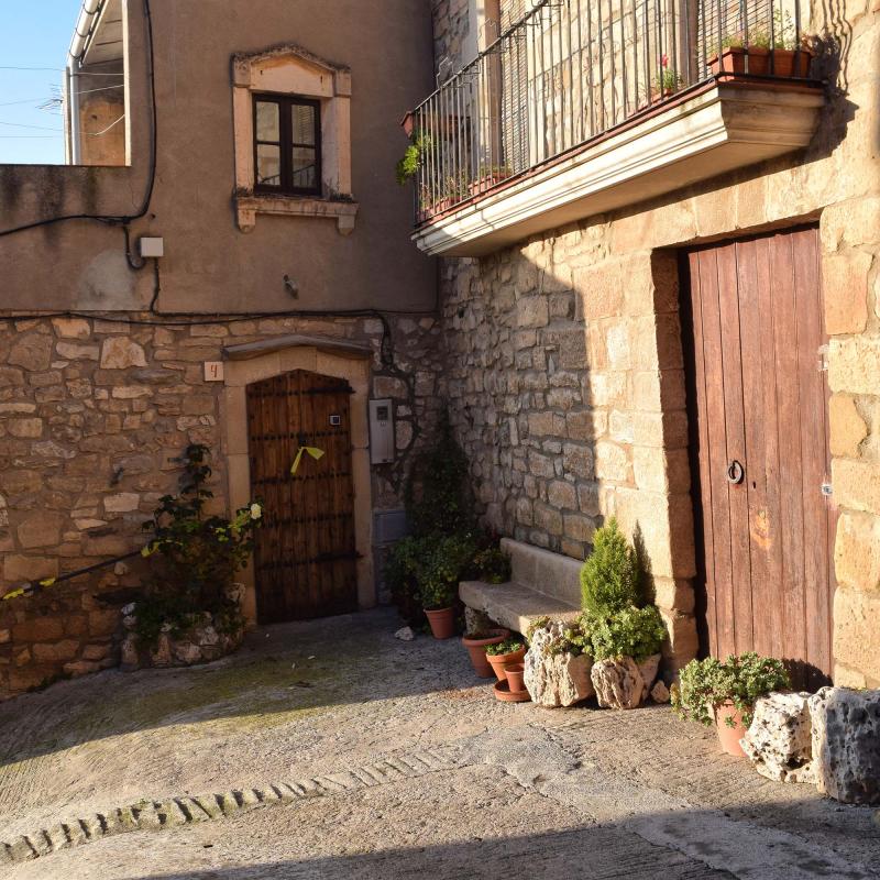 3.1.2019 Rocafort de Vallbona - Ramon Sunyer