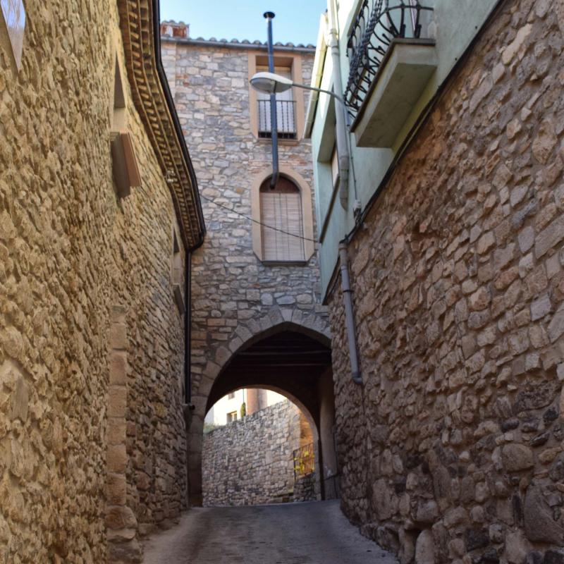 3.1.2019 Rocafort de Vallbona - Ramon Sunyer