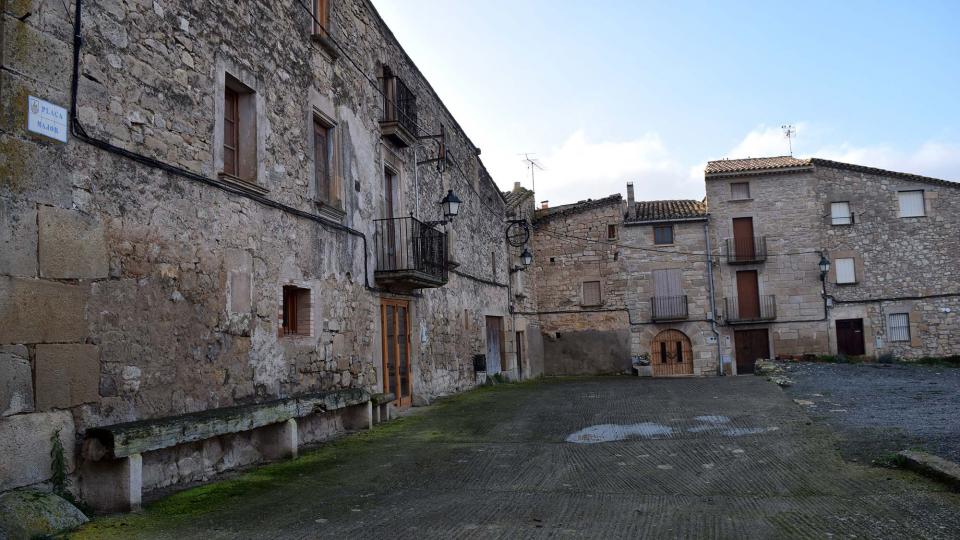 3.1.2019 El Vilet - Ramon Sunyer