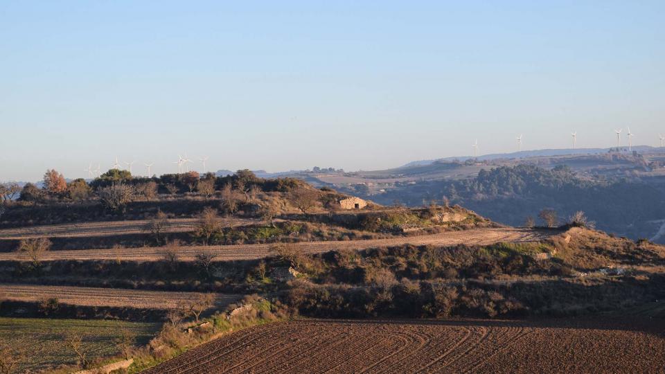 3.1.2019   Guimerà -  Ramon Sunyer