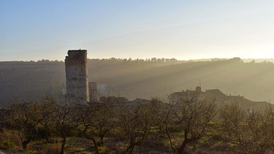 3.1.2019   Guimerà -  Ramon Sunyer