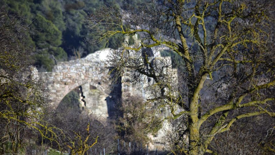 3.1.2019   Guimerà -  Ramon Sunyer