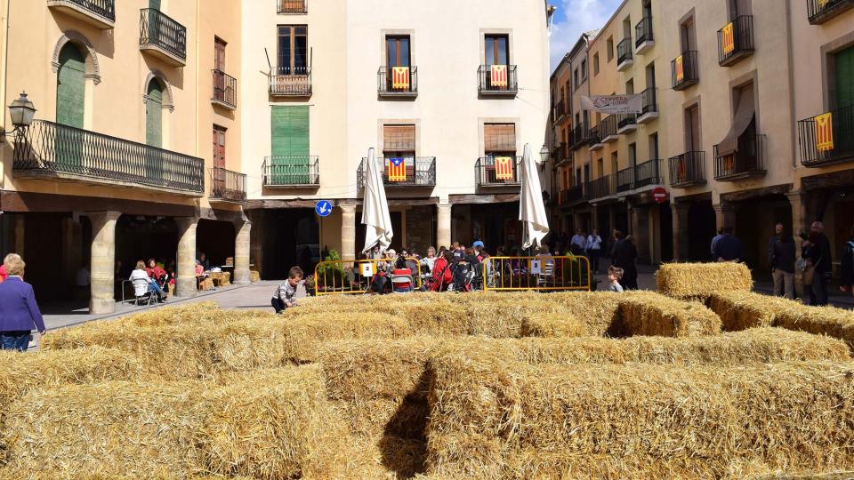 23 de Octubre de 2016 Plaça Major  Cervera -  Ramon Sunyer