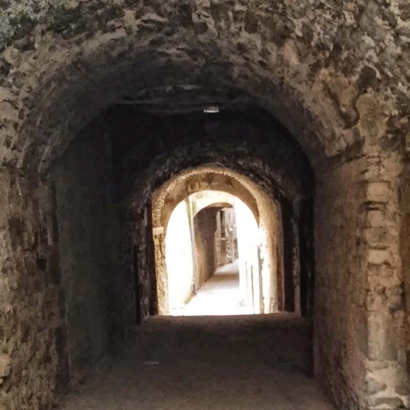 19 de Agost de 2014 Carreró de les Bruixes  Cervera -  Ramon Sunyer