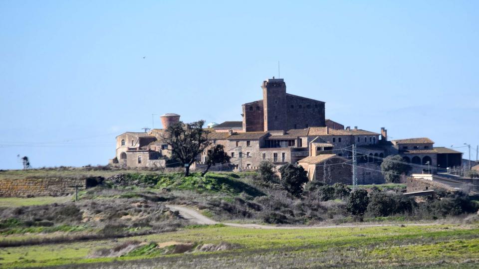 27 de Gener de 2019   L'Aranyó -  Ramon Sunyer