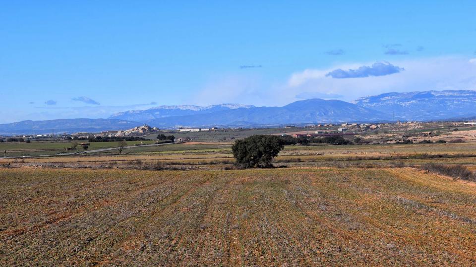 27.1.2019 Paisatge  Concabella -  Ramon Sunyer