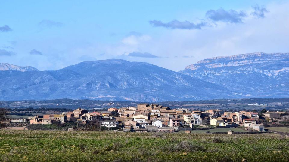 27.1.2019 Paisatge  Les Pallargues -  Ramon Sunyer