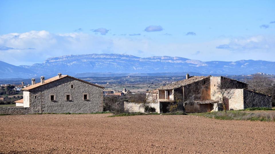 27.1.2019 Masos  Sant Ramon -  Ramon Sunyer