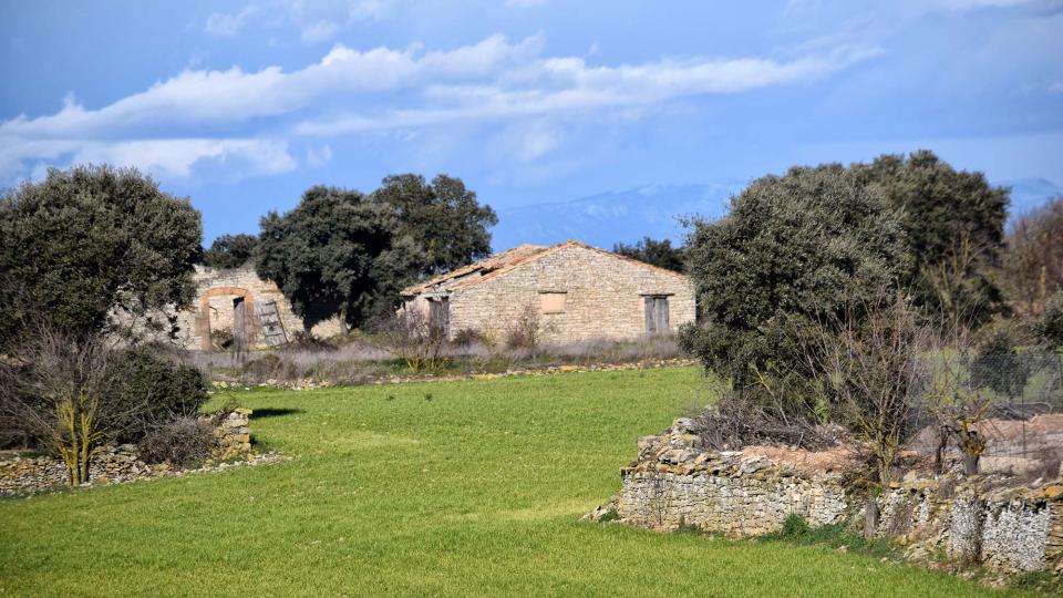 27.1.2019 Cabanes  Sant Ramon -  Ramon Sunyer