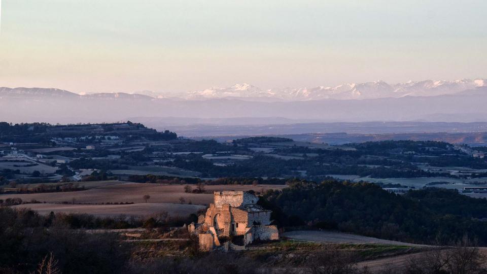 26.1.2019 el mas dels capellans  Montargull -  Ramon Sunyer