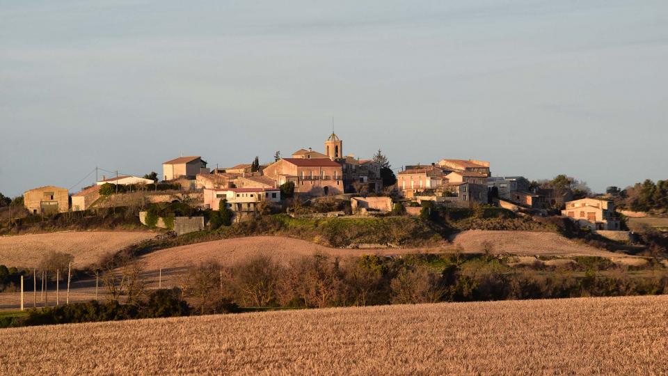 26.1.2019 Paisatge  Bellmunt de Segarra -  Ramon Sunyer