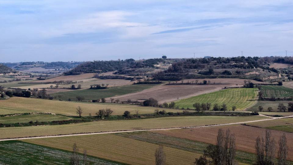 10.2.2019   Castellnou d'Oluges -  Ramon Sunyer