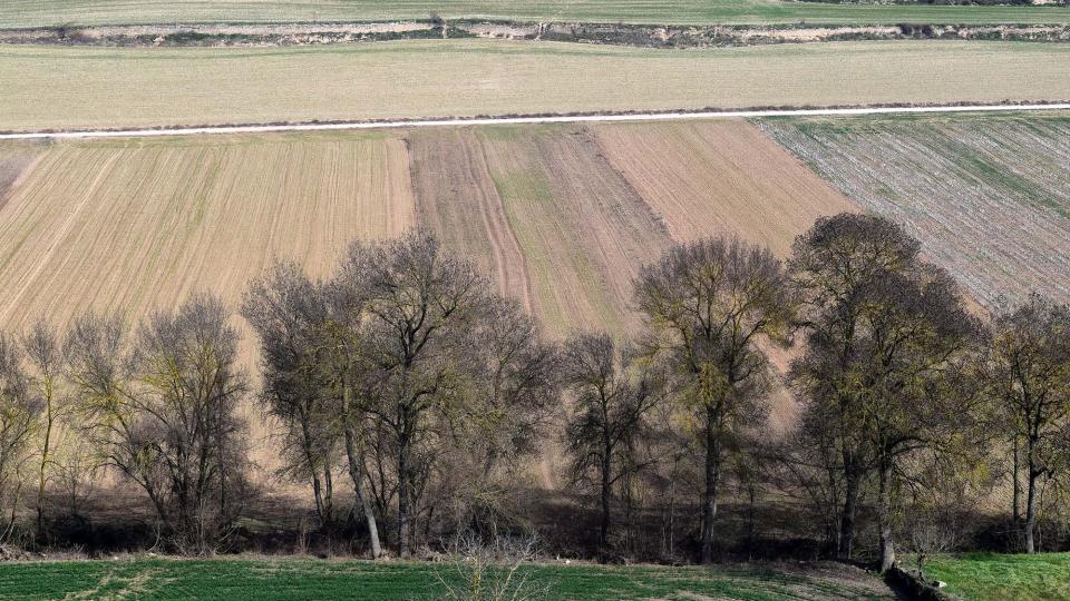 10 de Febrer de 2019   Castellnou d'Oluges -  Ramon Sunyer