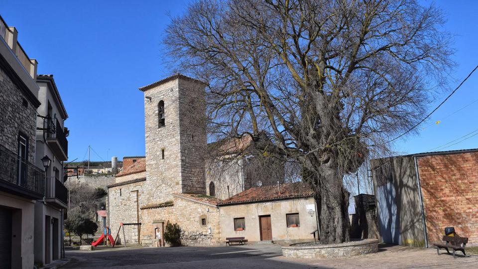 10 de Febrer de 2019   Castellnou d'Oluges -  Ramon Sunyer