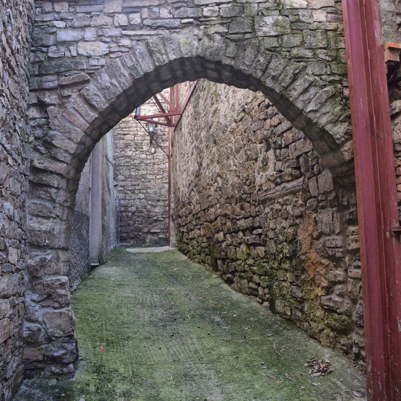 10.2.2019   Castellnou d'Oluges -  Ramon Sunyer