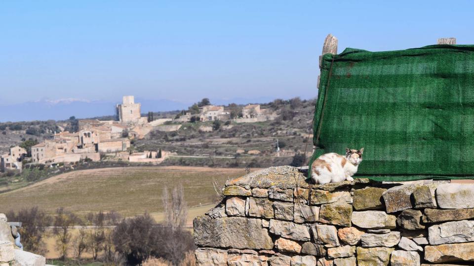 10.2.2019   Castellnou d'Oluges -  Ramon Sunyer