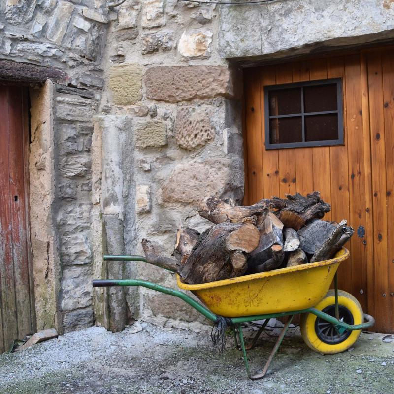 10 de Febrer de 2019   Castellnou d'Oluges -  Ramon Sunyer