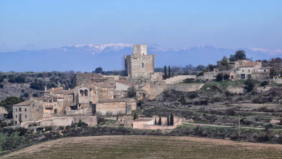 10 de Febrer de 2019   Malgrat -  Ramon Sunyer