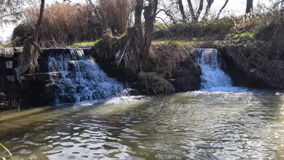 10 de Febrer de 2019 Peixera de la Prenyanosa al riu Sió  La Prenyanosa -  Ramon Sunyer