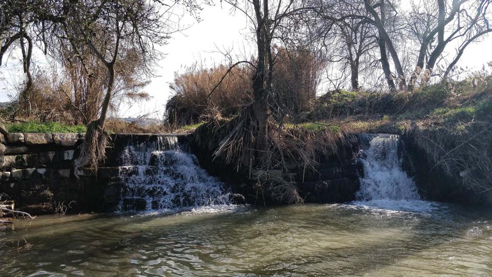 10.02.2019 Peixera de la Prenyanosa al riu Sió  La Prenyanosa -  Ramon Sunyer
