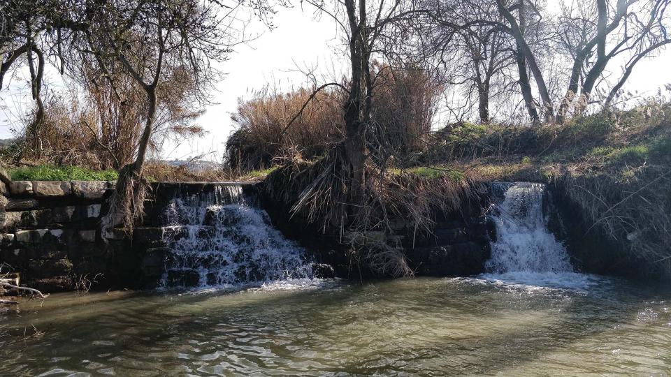 10 de Febrer de 2019 Peixera de la Prenyanosa al riu Sió  La Prenyanosa -  Ramon Sunyer