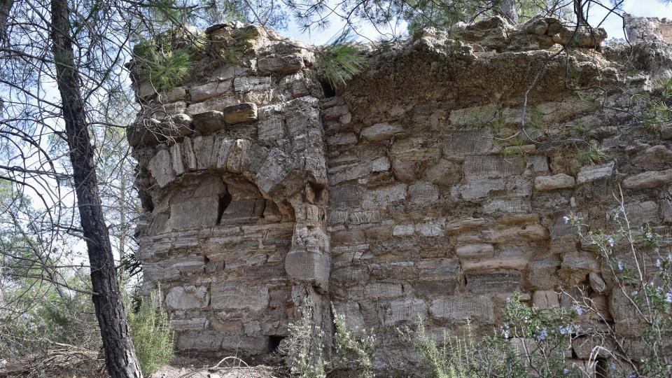 3.3.2019 - torre - Clariana - Ramon  Sunyer